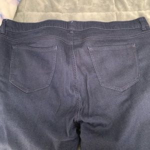 Lane Bryant Dark Denim Jeggings